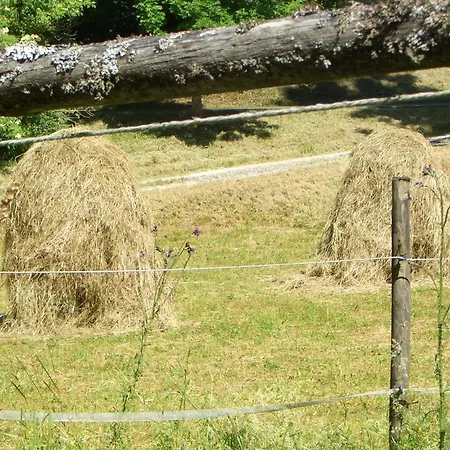 Hébergement de vacances Geyerbad *